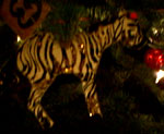 zebra_small.jpg