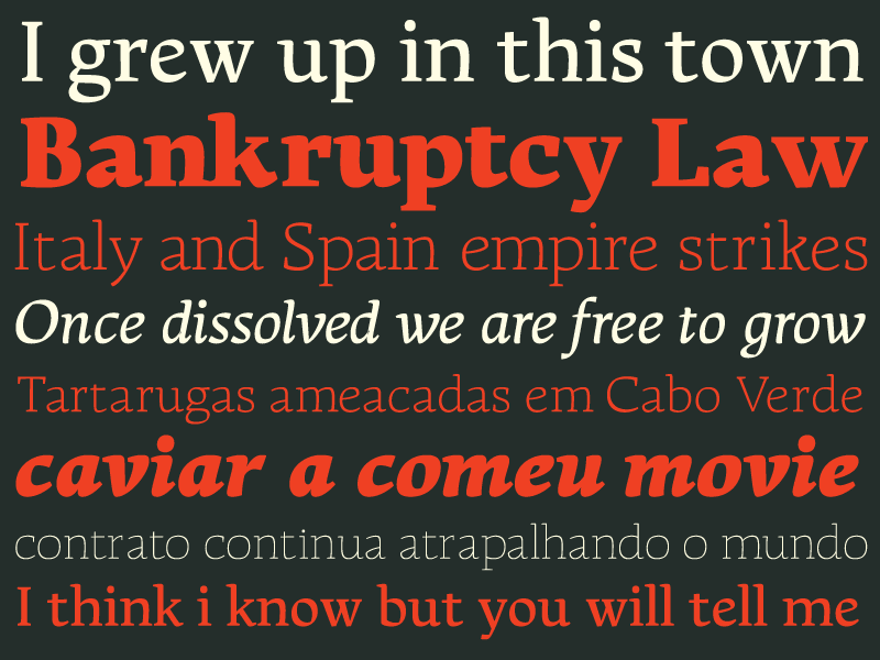 The 2012 Type@Cooper Condensed Program, final presentation, Bruno