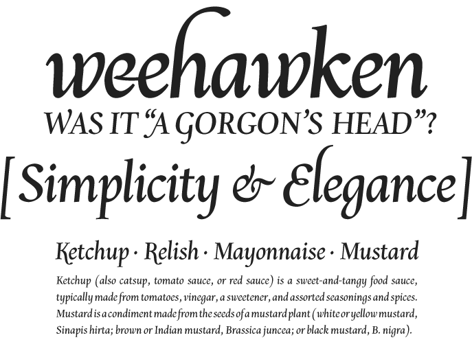 The 2012 Type@Cooper Condensed Program, final presentation, Chavelli